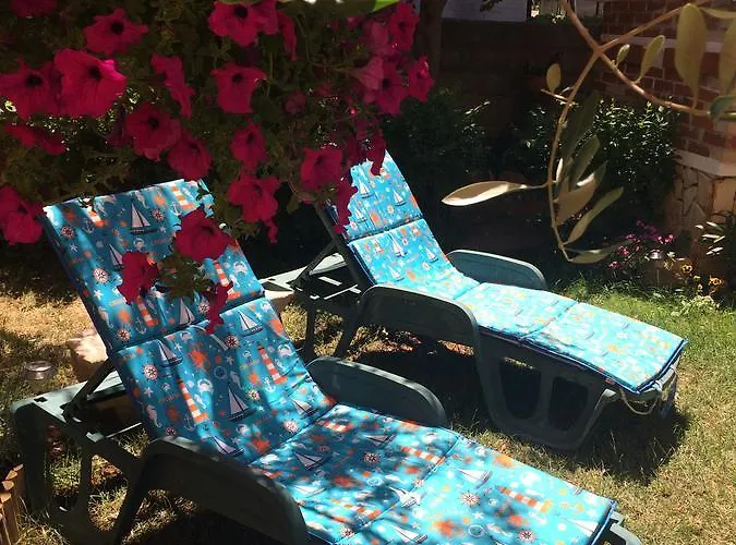 Lägenhet Bingo Zadar